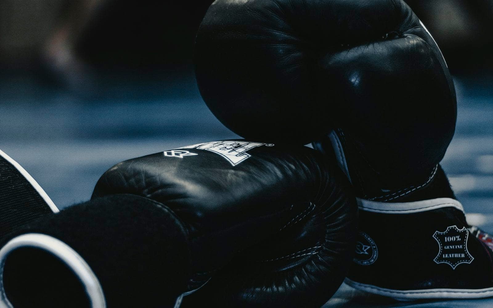 Alexandru-Achile Buhaniuc, vicecampion european la box U17: patru victorii, apoi o finală strânsă cu un englez