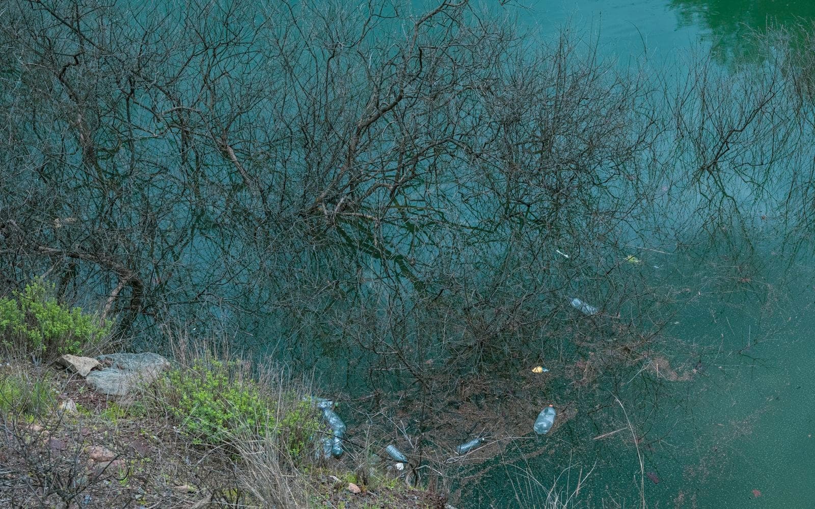 Poluarea Nistrului a costat Moldova 2,33 milioane de euro, arată raportul CNMC. Aproximativ 200 de mii de oameni au fost afectați