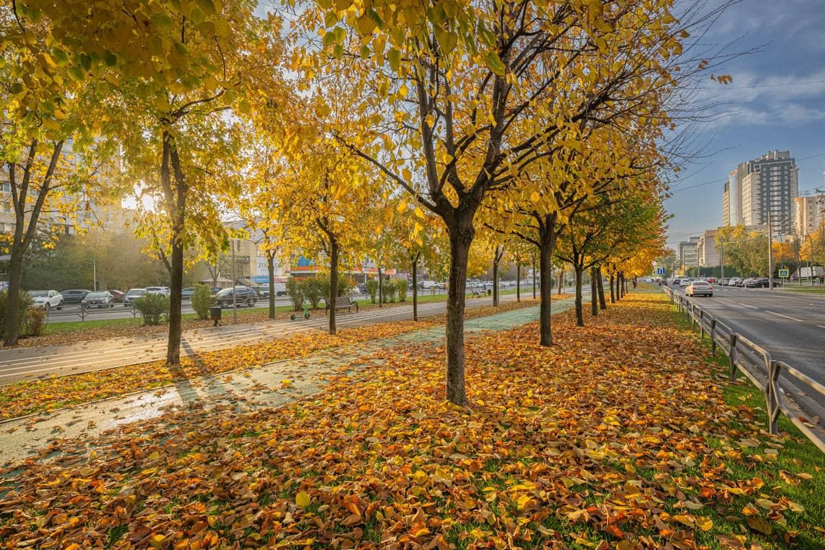 Ce faci în weekend la Chișinău: târguri cu produse de la țară, dansuri pentru seniori, desene pe asfalt pentru copii și târgul meșterilor populari